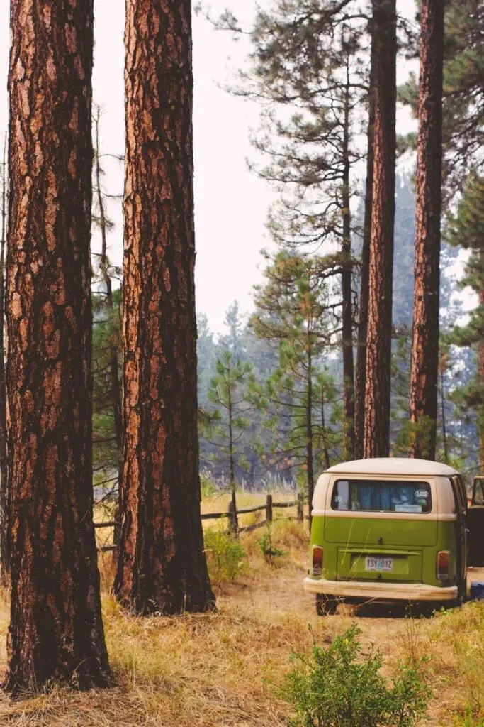 Green retro camper van parked in a forest clearing among tall pine trees