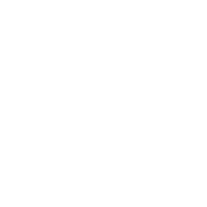 14 day money back guarantee icon
